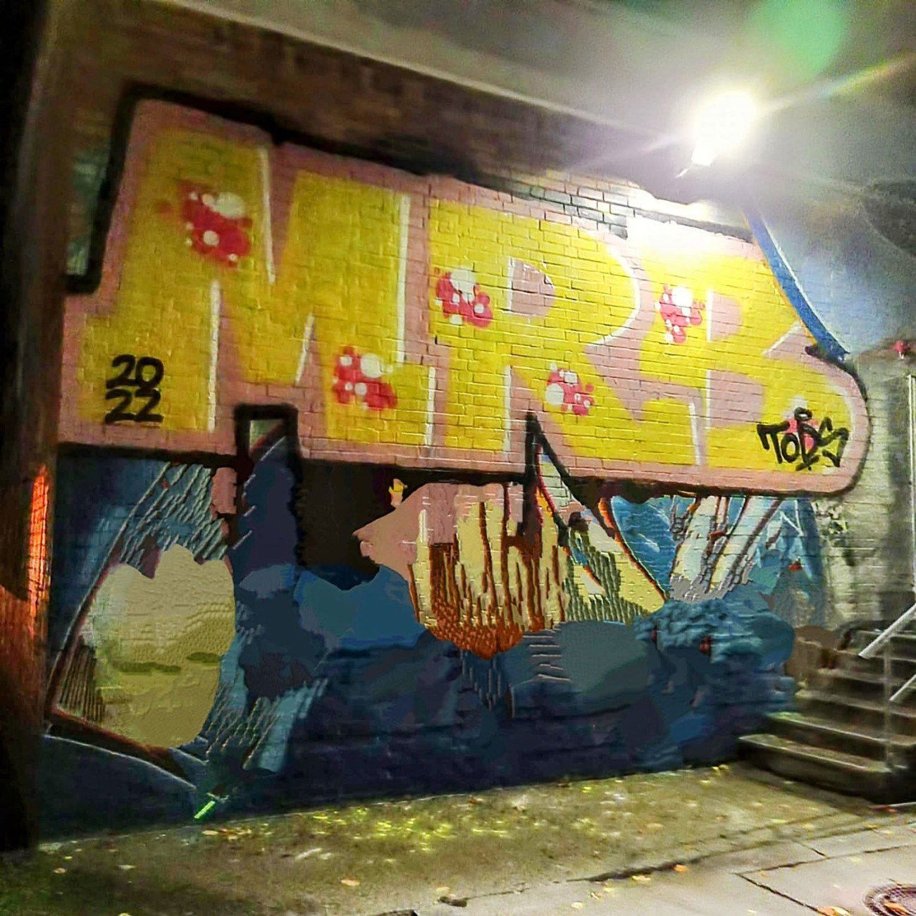 Graffiti Bombing - Photo by MRB - MRB (2022)