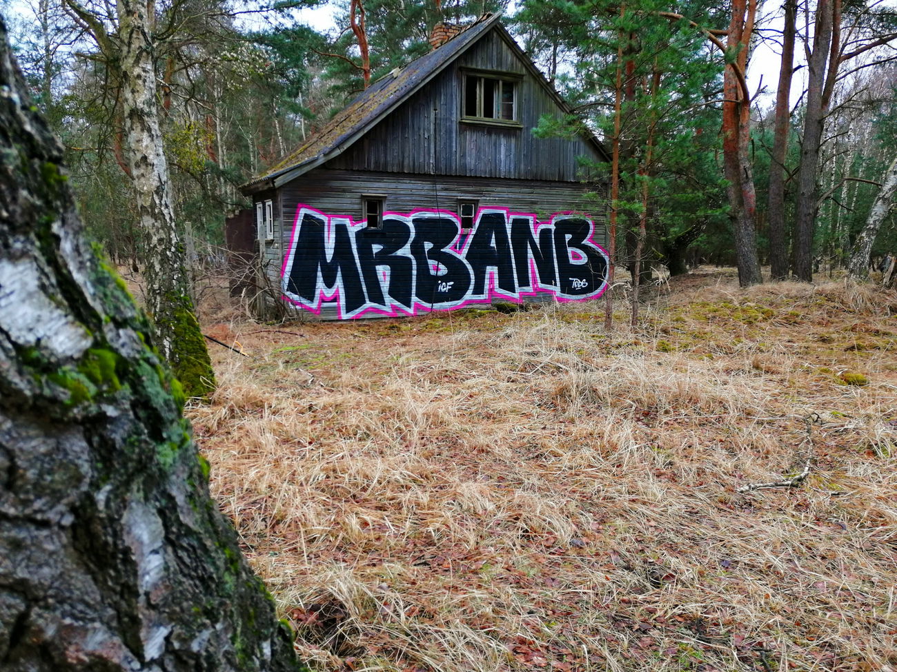Graffiti Bombing - Photo by MRB - MRB, ANB (2019)