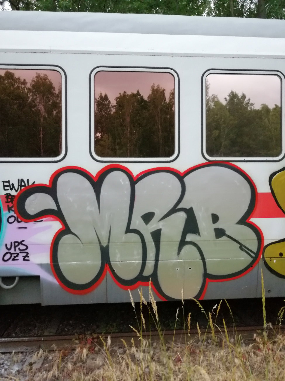 Graffiti Train - Photo by MRB - MRB (2019)