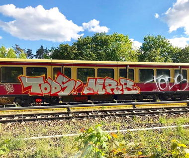 Graffiti Train - Photo by MRB - TODS, MRB (2020)
