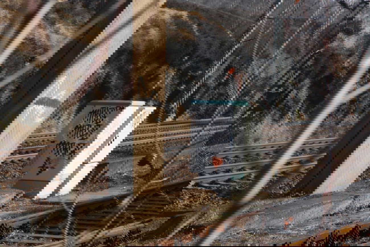 Graffiti Street Art - Photo by MRLS - mrls, volker, fbz (2011)