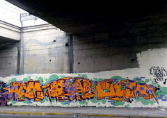 Photo #150651 by GraffFunk