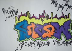 Graffiti Wall - Photo by MUCK1 - SPASTONE, LKACREW, SH3MO