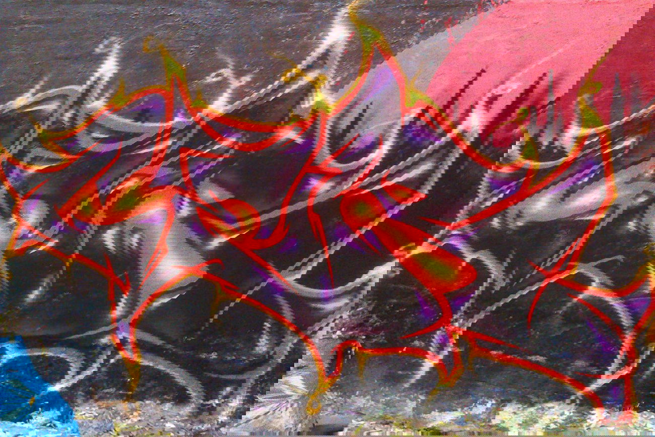 Graffiti Wall - Photo by MYKILL - GeR