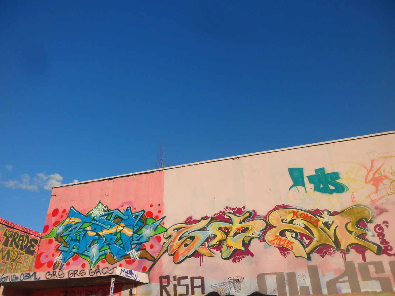 Graffiti Wall - Photo by MYTEAMSUPREME1 - TORO, STEM, CHEMNITZ