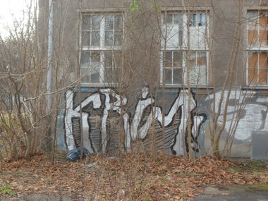 Graffiti Bombing - Photo by MYTEAMSUPREME1 - KRIM, CHEMNITZ