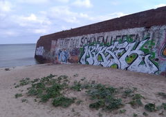 Photo #220117 by Akpe