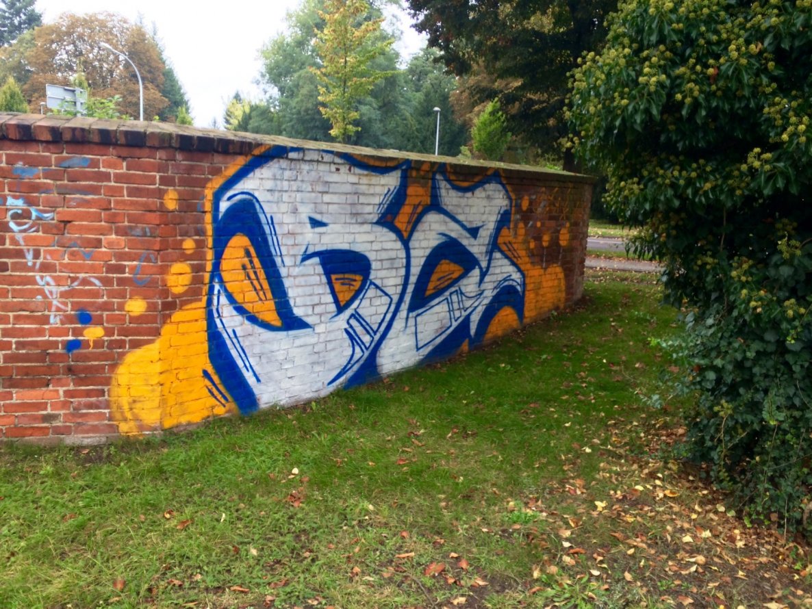 Graffiti Bombing - Photo by Mace69 - BZ;, Mace (2014)