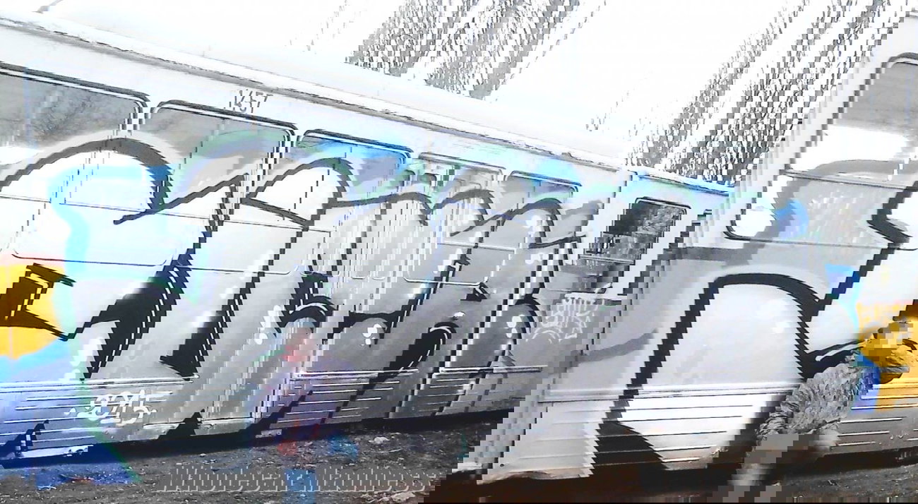 Graffiti Train - Photo by MadeInHungary - Sutr (2015)