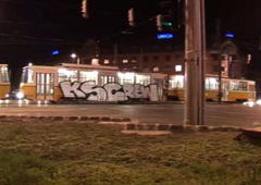 Photo #134104 by alcer