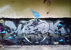 Photo #218658 by TheWallHunter