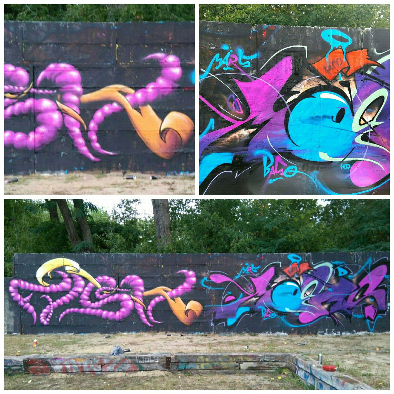 Graffiti Wall - Photo by Maers - märs, fish, art (2016)