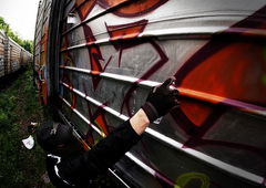 Photo #9505 by Nets1