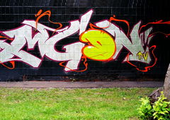 Photo #9517 by Nets1