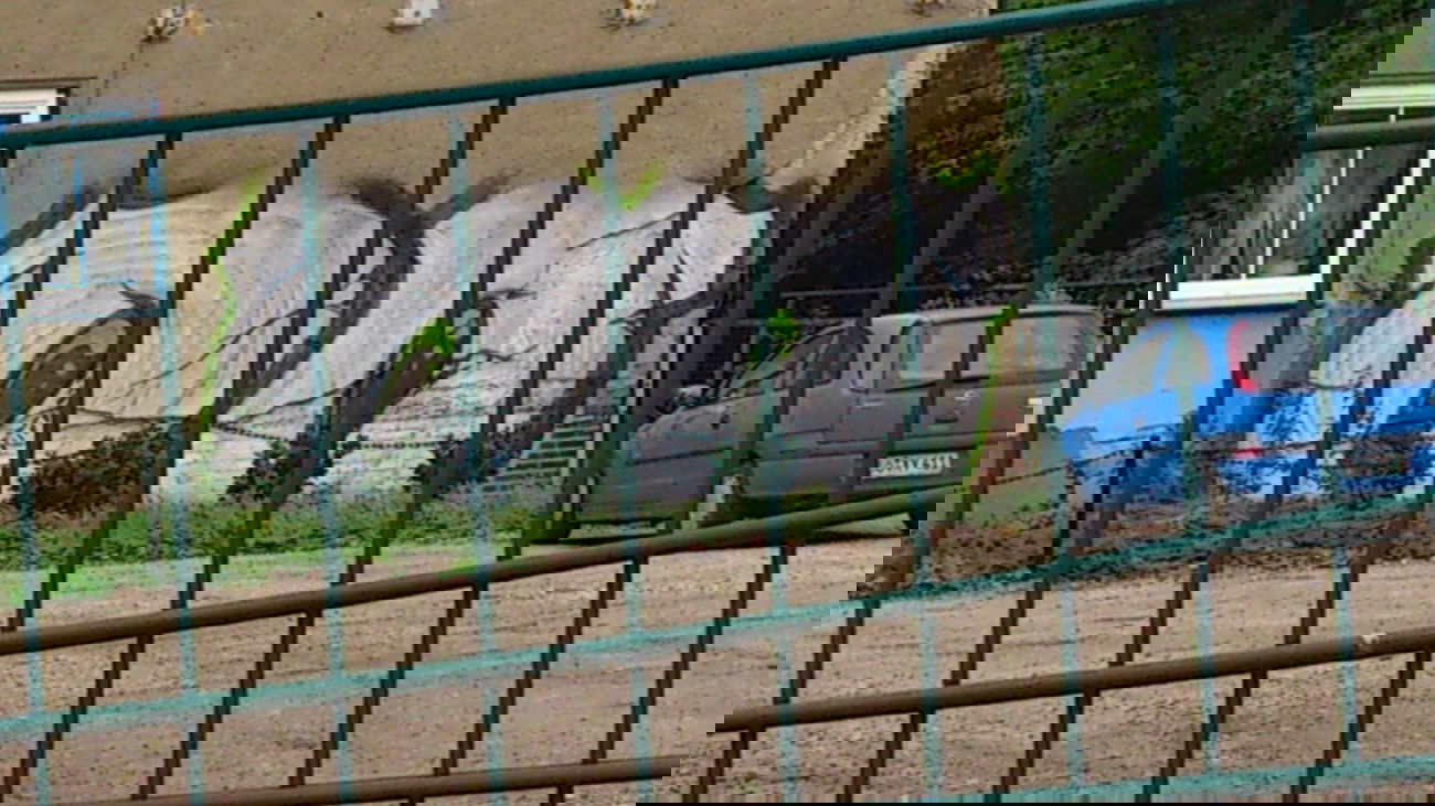 Graffiti Bombing in Magdeburg - Photo by Magdeboy - OHOH, OO, Magdeburg (2013)