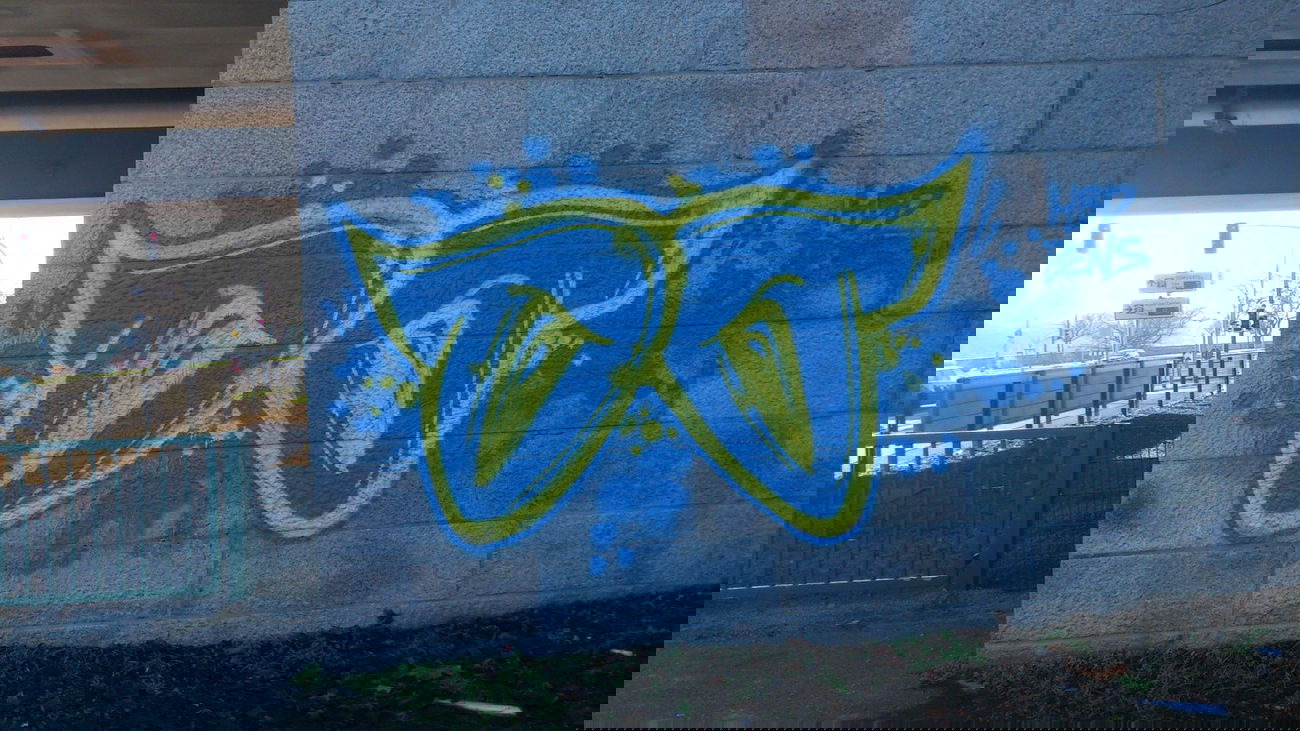 Graffiti Bombing in Magdeburg - Photo by Magdeboy - OO, OHOH, Magdeburg (2013)