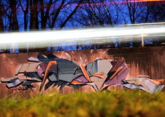 Photo #84962 by koal