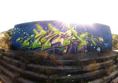 Photo #24065 by zwolli