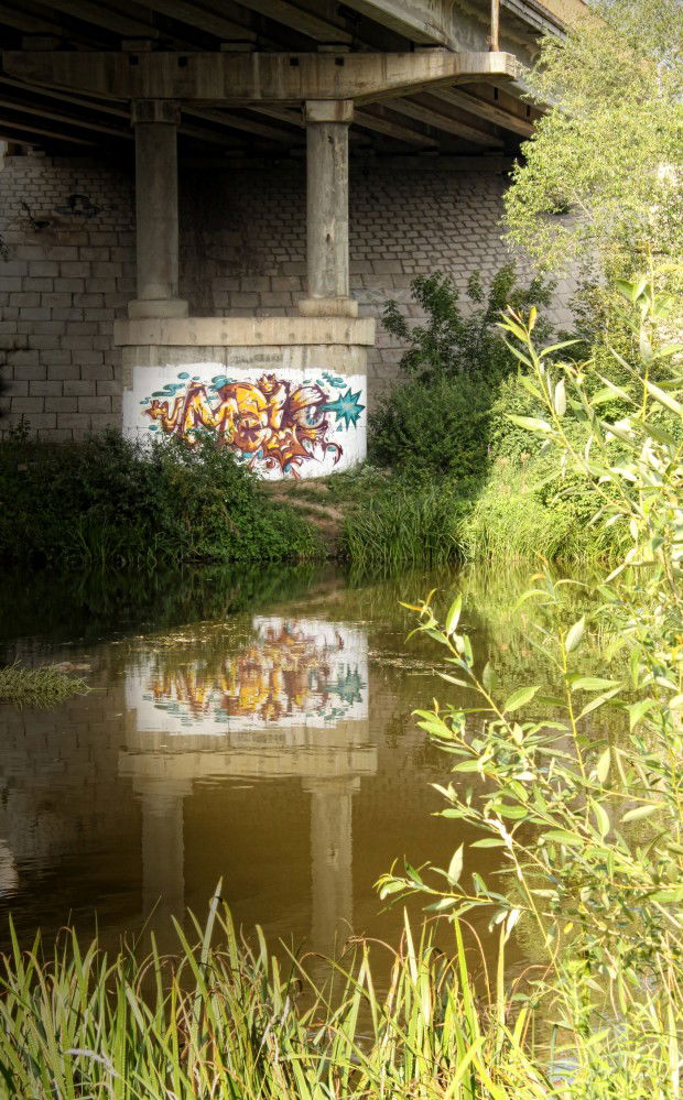 Graffiti Bombing - Photo by Maionez (2013)