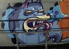 Photo #60628 by Belt