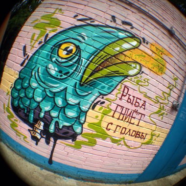 Graffiti Bombing - Photo by Maionez (2013)