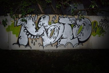 Graffiti Bombing in Lyubertsy - Photo by Maionez (2013)