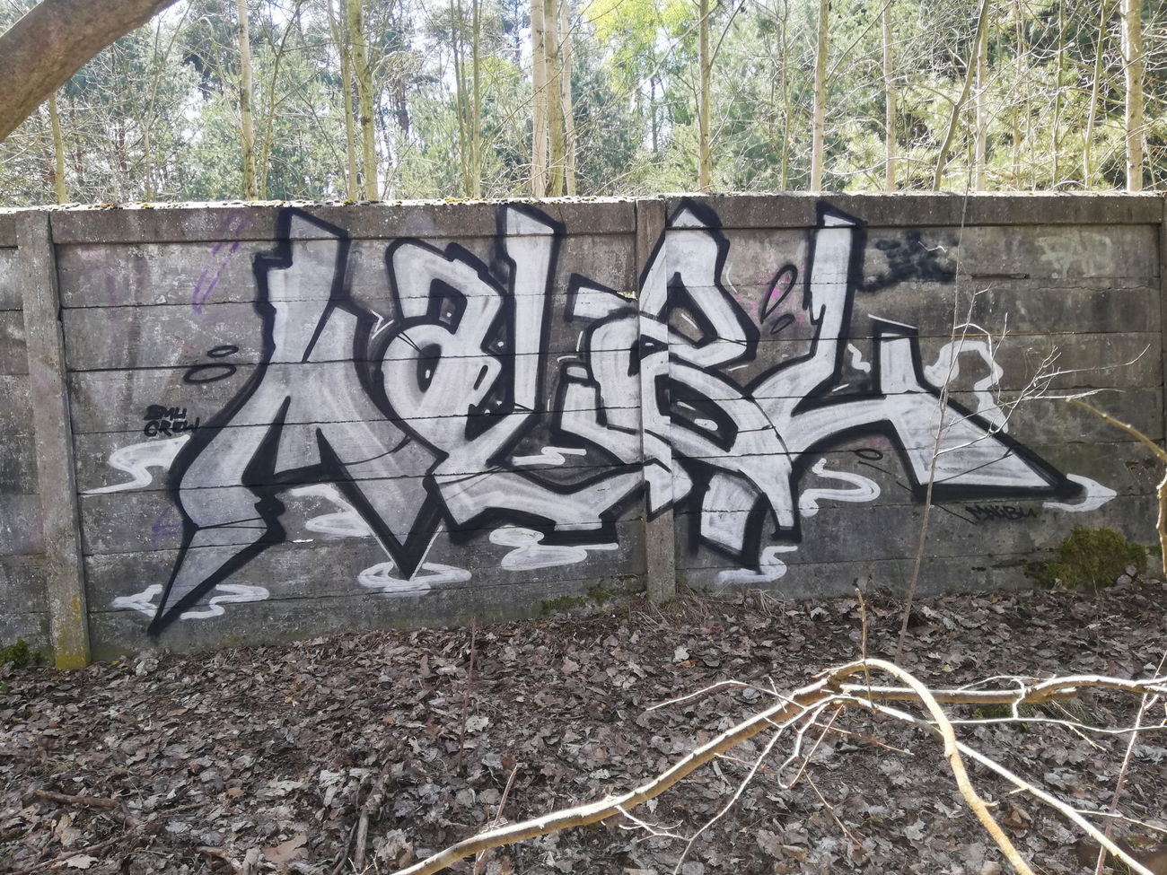 Graffiti Wall - Photo by Mali157 (2020)