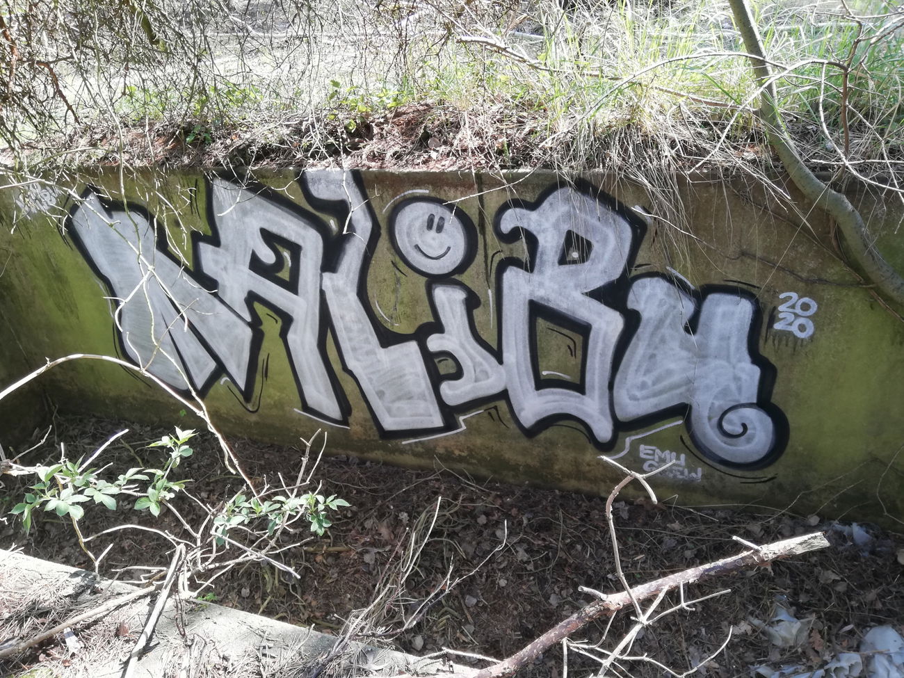 Graffiti Wall - Photo by Mali157 (2020)