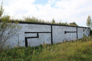 Graffiti Bombing - Photo by MaloyFck