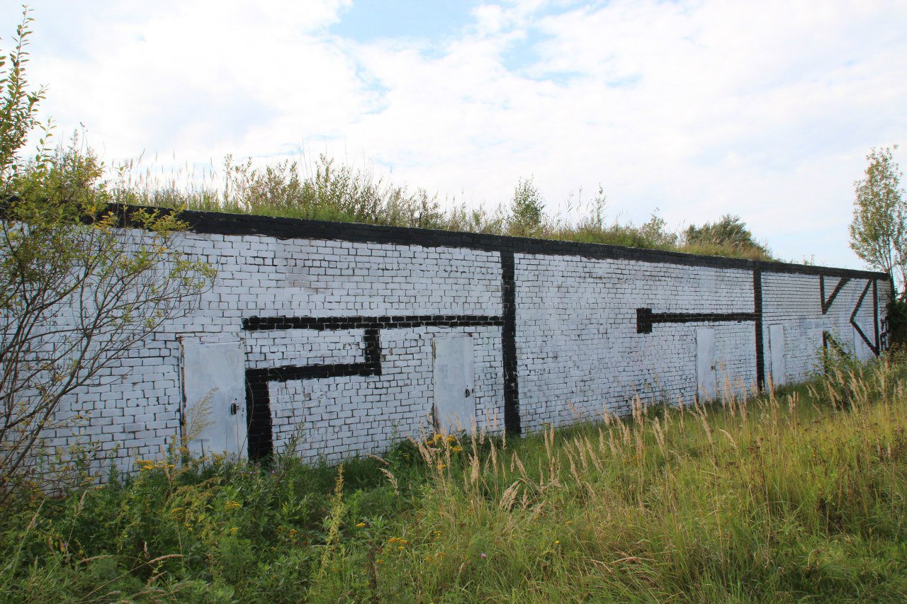 Graffiti Bombing - Photo by MaloyFck