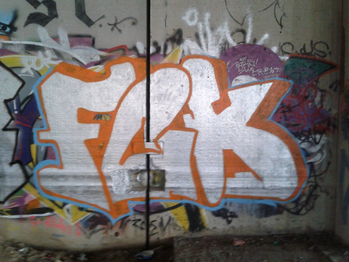 Graffiti Bombing - Photo by MaloyFck