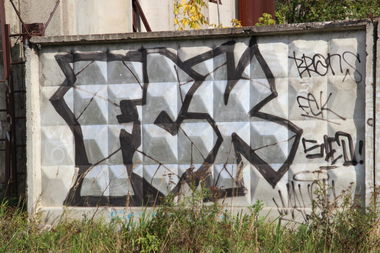 Graffiti Bombing - Photo by MaloyFck