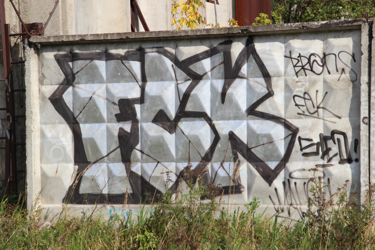 Graffiti Bombing - Photo by MaloyFck