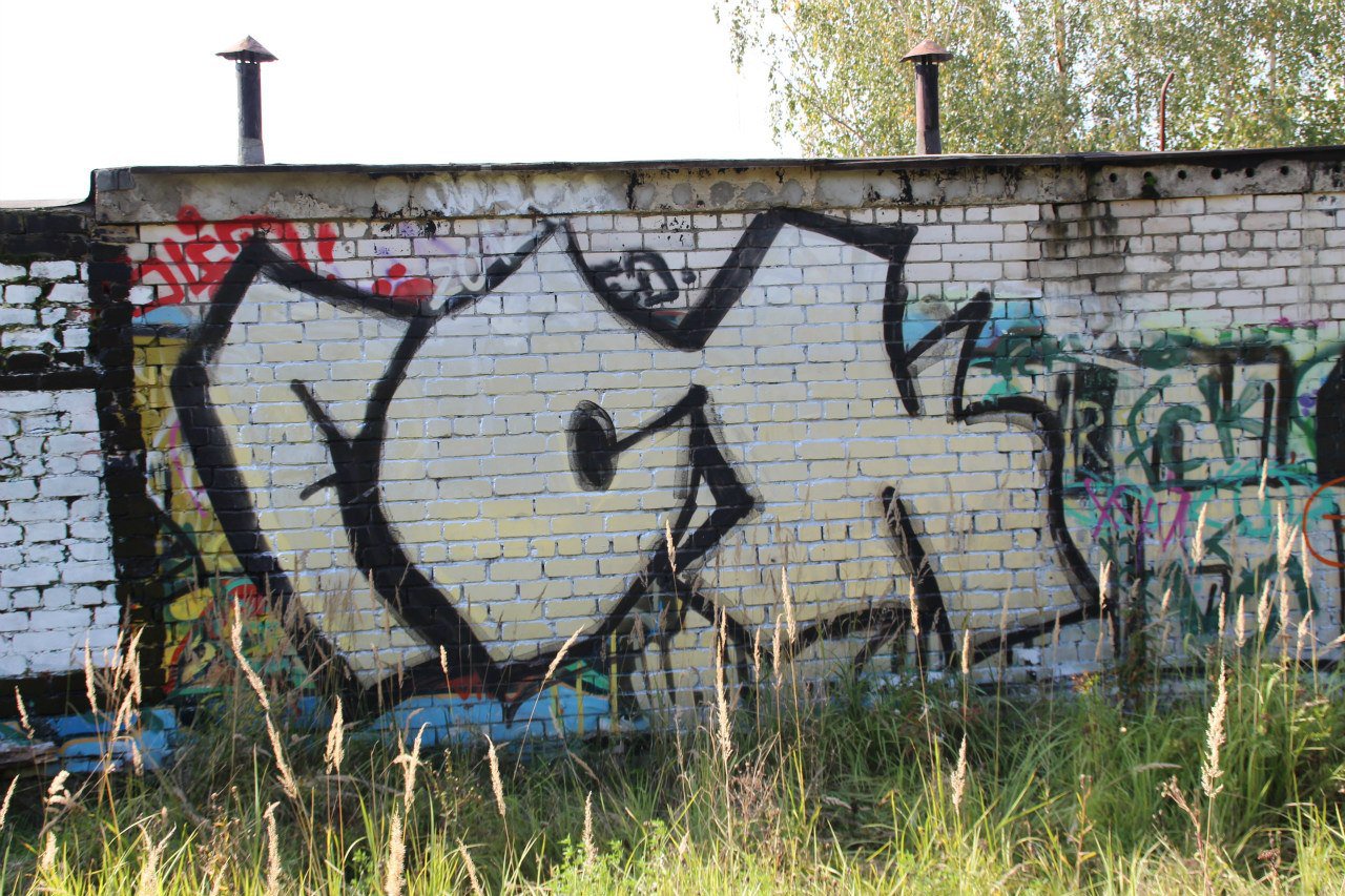 Graffiti Bombing - Photo by MaloyFck