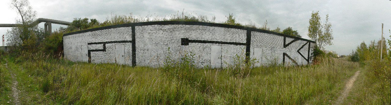 Graffiti Bombing - Photo by MaloyFck