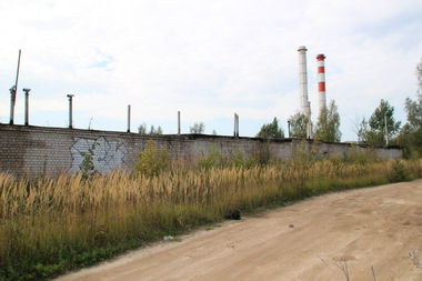 Graffiti Bombing - Photo by MaloyFck