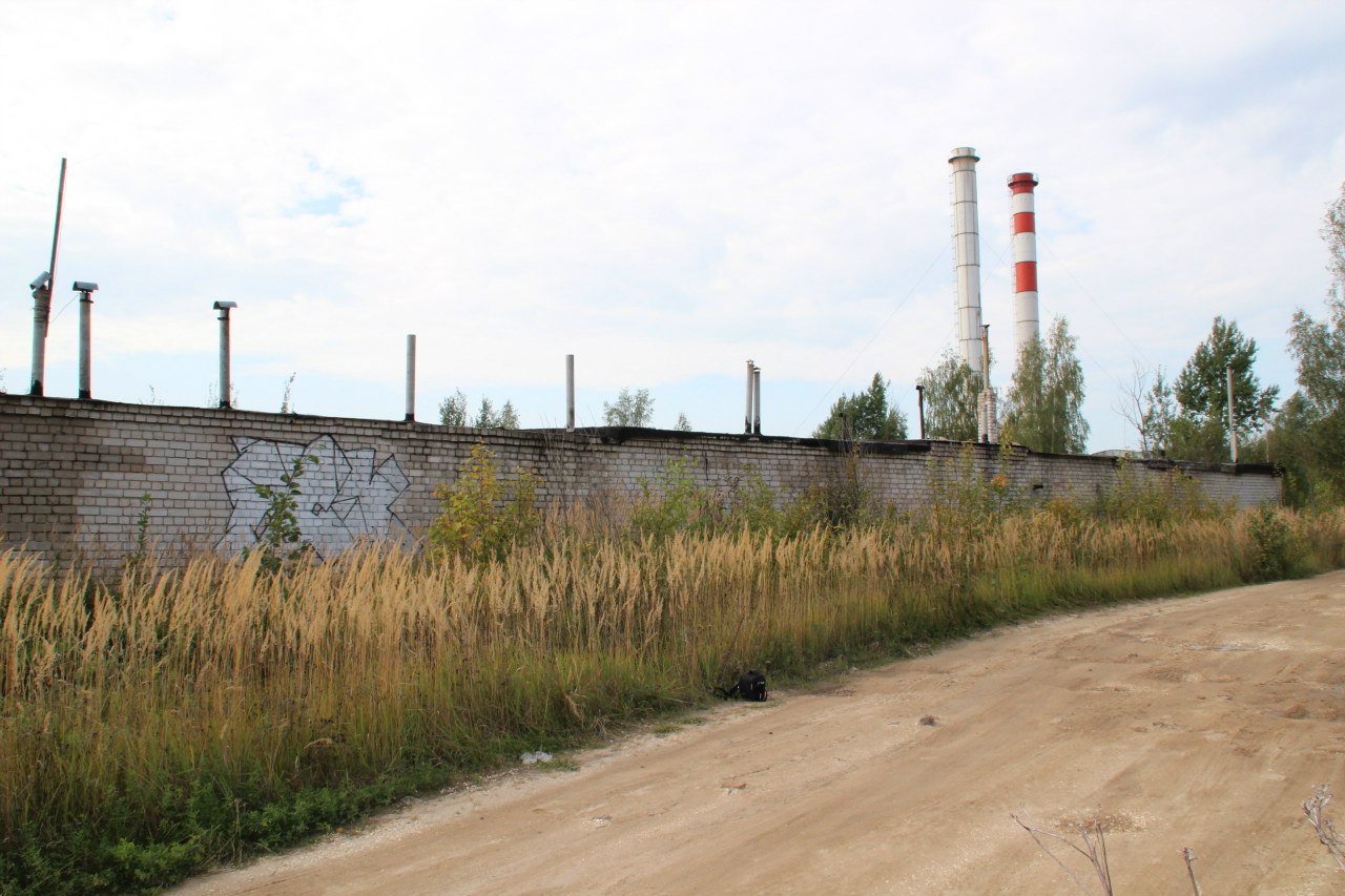 Graffiti Bombing - Photo by MaloyFck