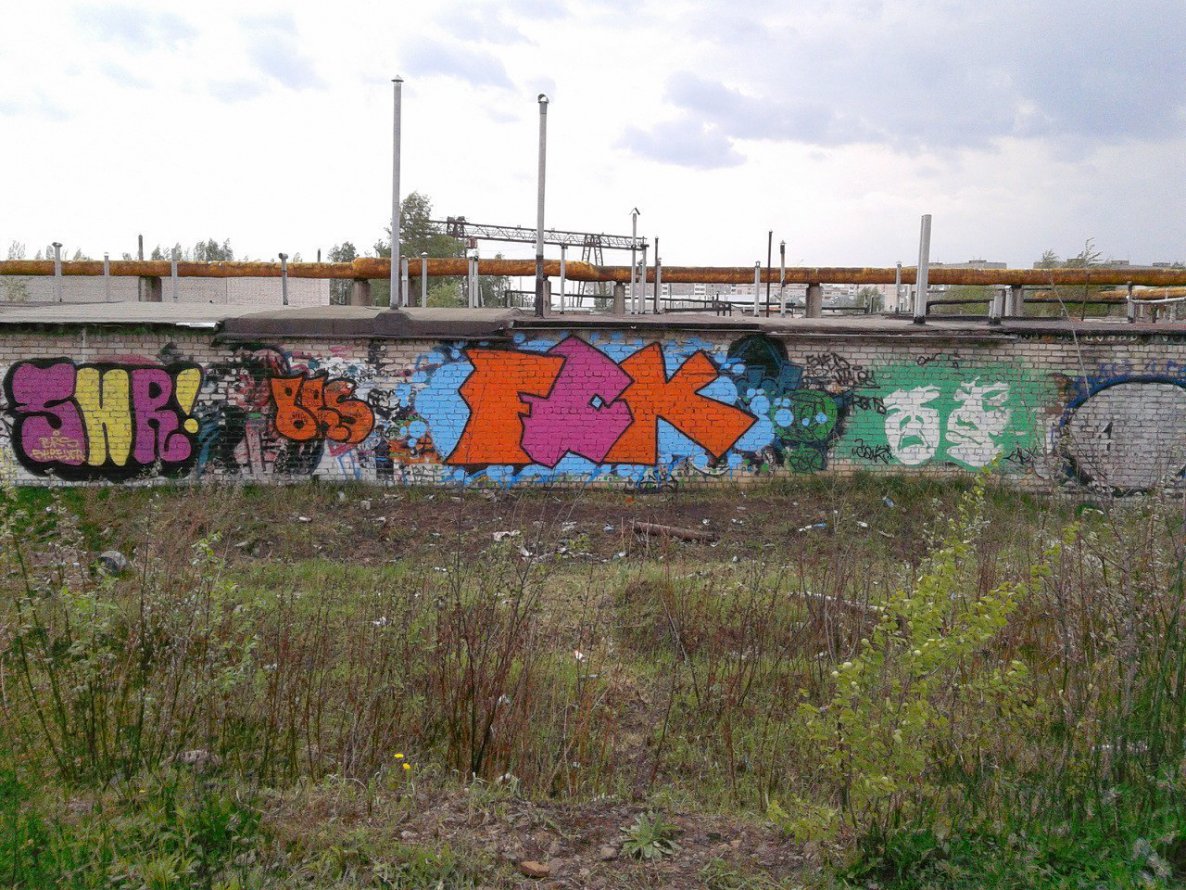Graffiti Bombing - Photo by MaloyFck