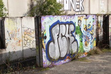 Graffiti Bombing - Photo by MaloyFck