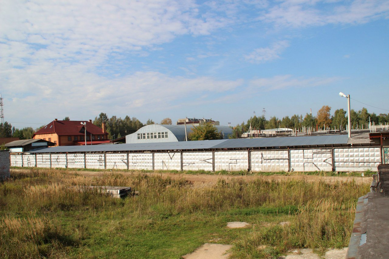 Graffiti Bombing - Photo by MaloyFck