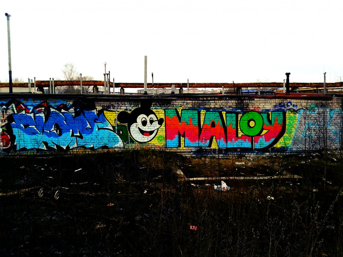 Graffiti Wall - Photo by MaloyFck - FlomeMickey, MouseMaloy