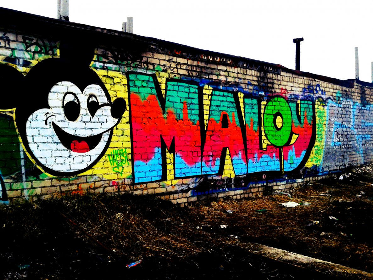 Graffiti Wall - Photo by MaloyFck - maloymickey, mouse