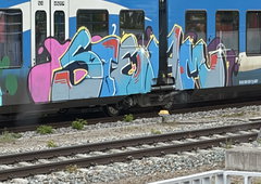 Graffiti Train in Türkheim - Photo by Manetti