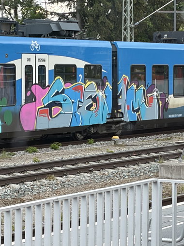 Graffiti Train in Türkheim - Photo by Manetti