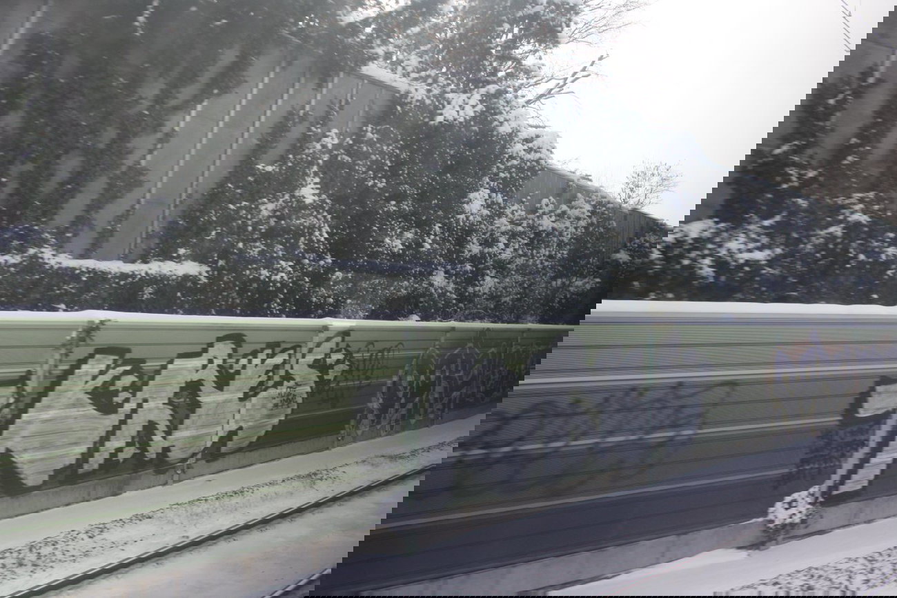 Graffiti Bombing - Photo by Manfredkarlheinz