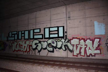 Graffiti Bombing - Photo by Manfredkarlheinz