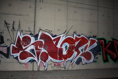 Graffiti Bombing - Photo by Manfredkarlheinz