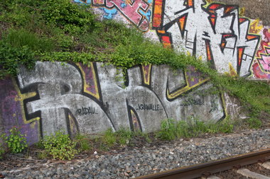 Graffiti Bombing - Photo by Manfredkarlheinz