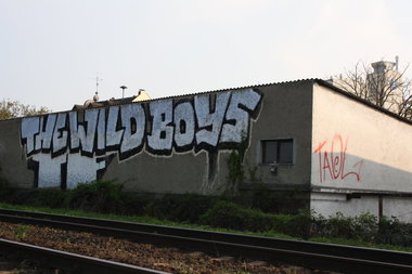 Graffiti Bombing - Photo by Manfredkarlheinz