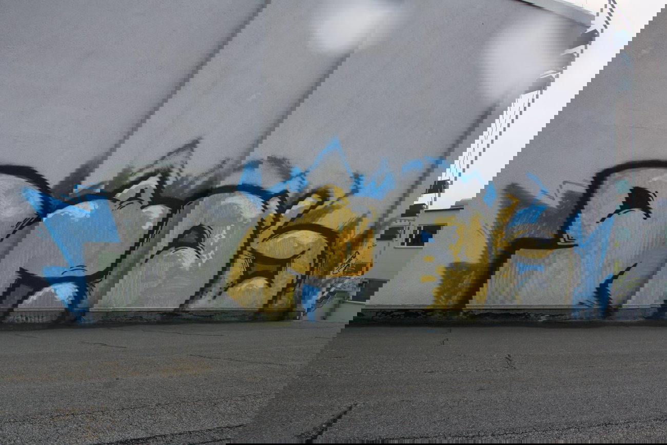 Graffiti Bombing - Photo by Manfredkarlheinz